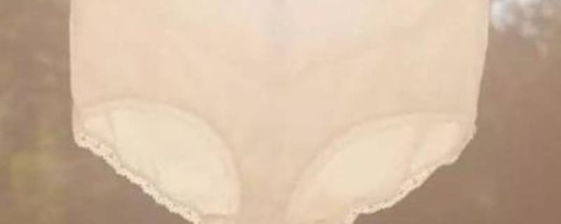 内裤无法暴晒怎么处理