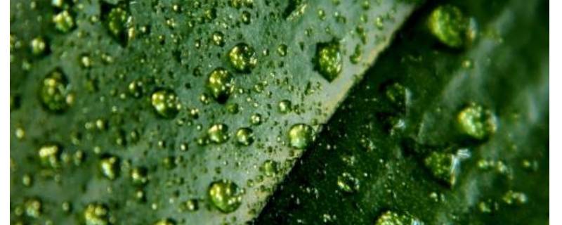 南方梅雨季节怎么除湿