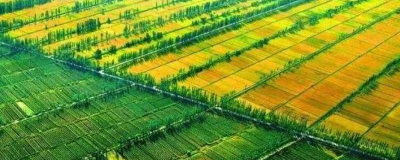 宁夏平原有什么的美誉