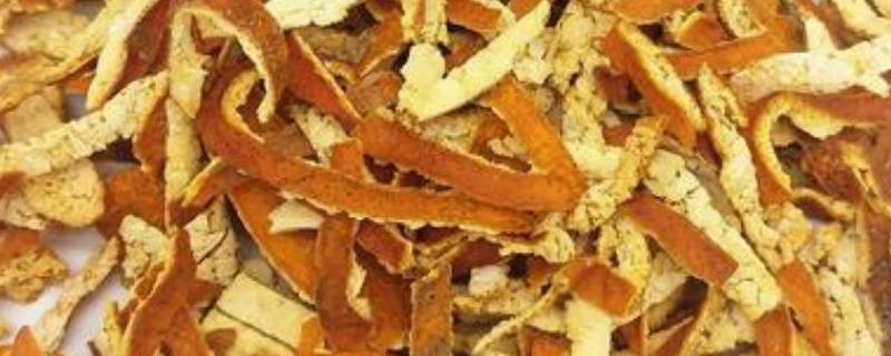 普通桔子皮能做陈皮吗