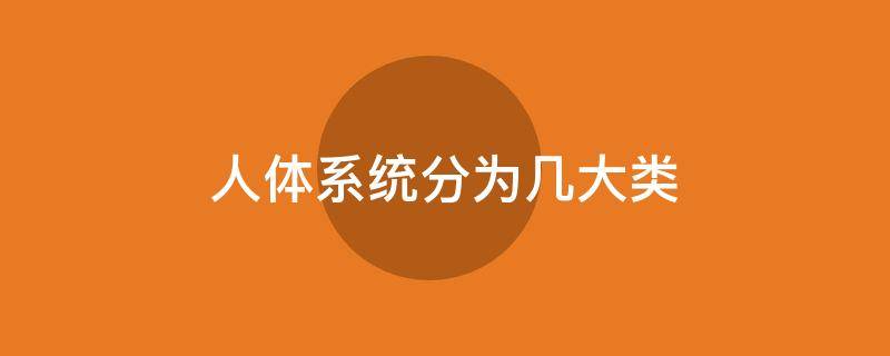 人体系统分为几大类