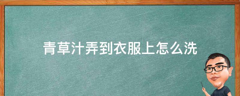 青草汁弄到衣服上怎么洗