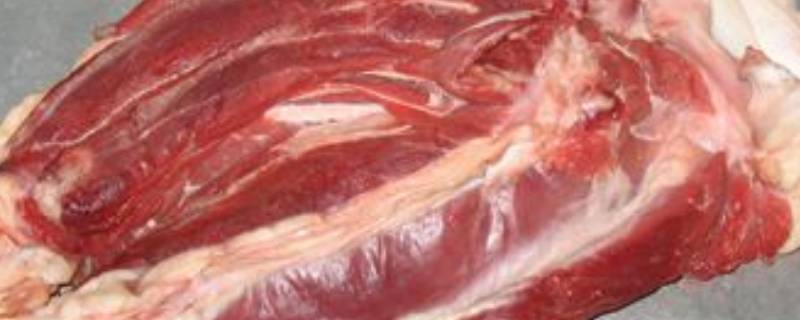 肉放了一夜有味怎么办