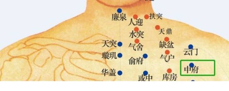 制式服装是指什么 生活百科