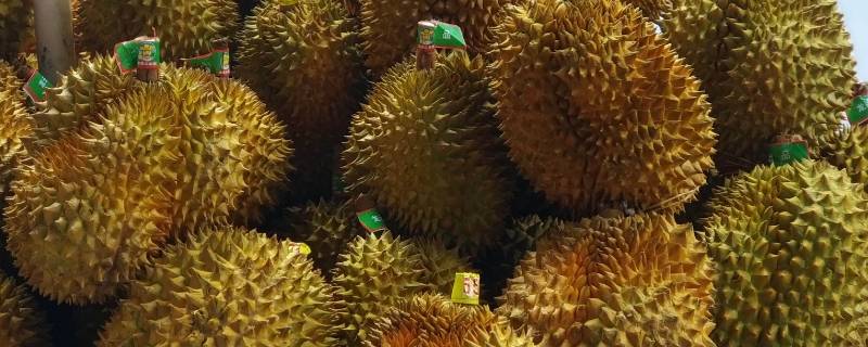 榴莲是什么味道