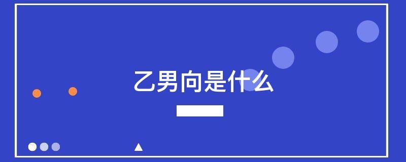 乙男向是什么