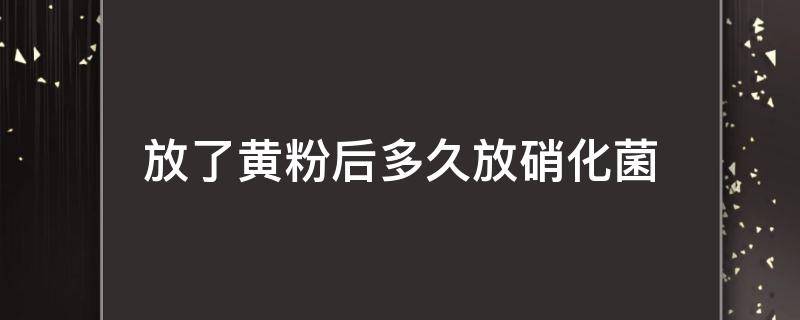 放了黄粉后多久放硝化菌