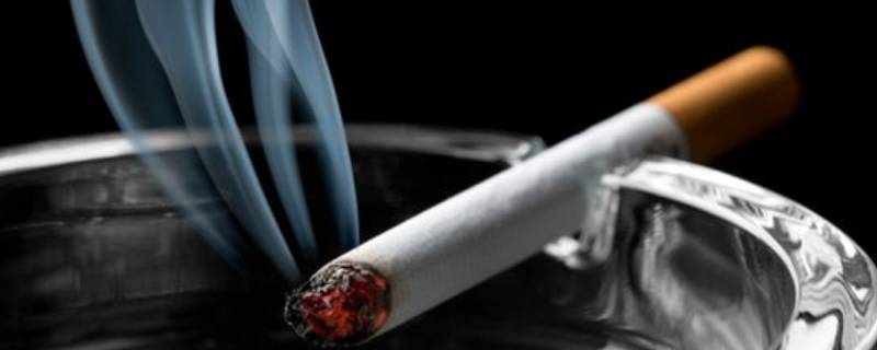 单包烟可以放多久