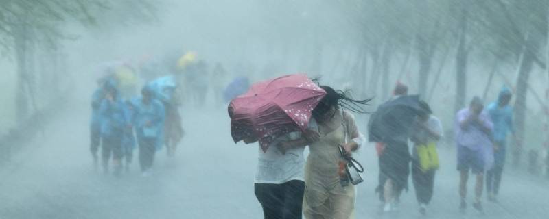 暴雨会引起什么灾害
