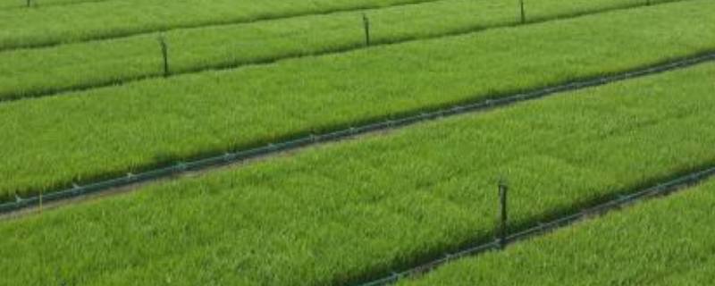 北方地区耕地类型
