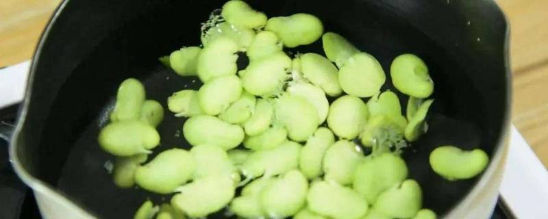 蚕豆仁怎么保存