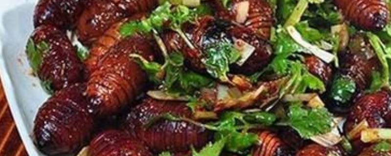 蝉蛹得煮多长时间