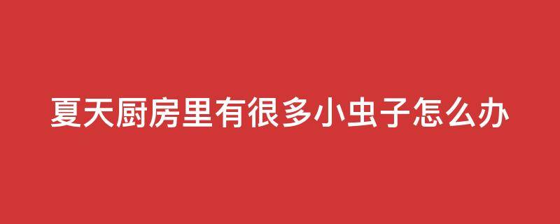 夏天厨房里有很多小虫子怎么办
