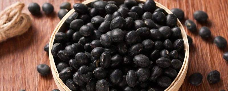为什么不用黑豆做豆腐