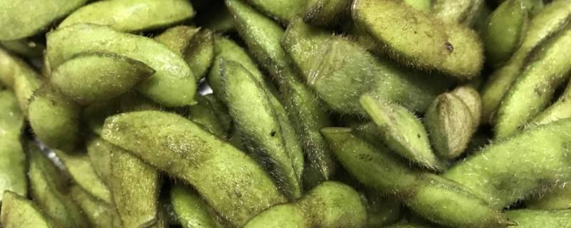 毛豆米可以放冰箱冷冻吗