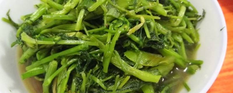 茴香怎么炒