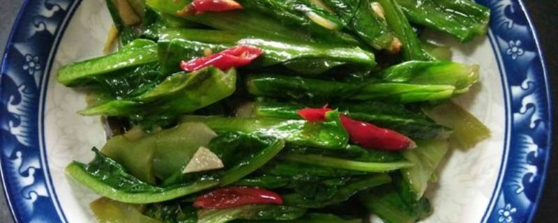 油麦菜怎么炒