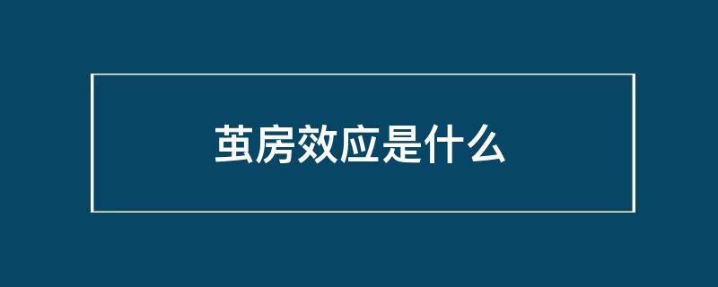 茧房效应是什么