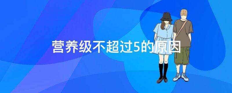 营养级不超过5的原因