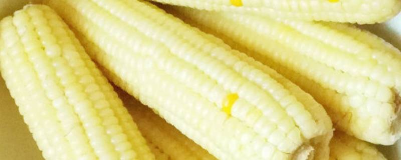 冰箱里的冻玉米怎么煮