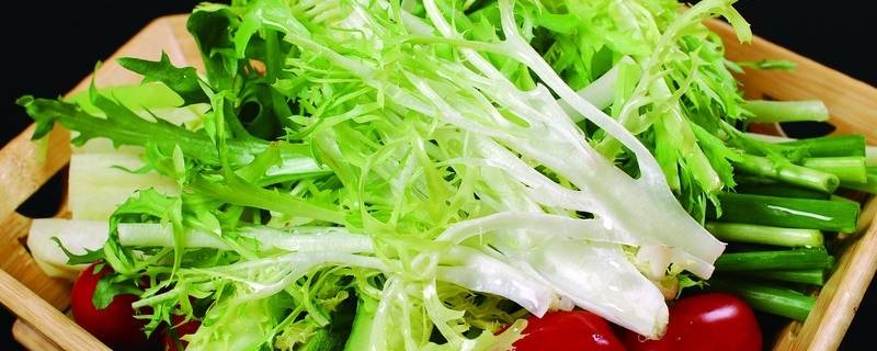 蘸酱菜都有什么青菜