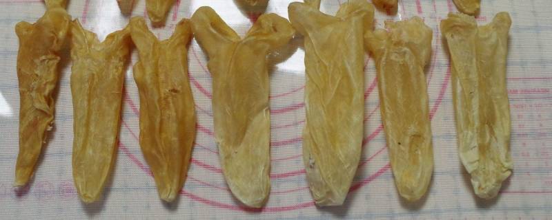 泡花胶为什么要蒸一下