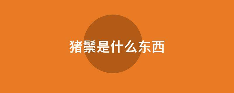 猪鬃是什么东西