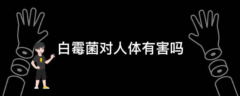 白霉菌对人体有害吗