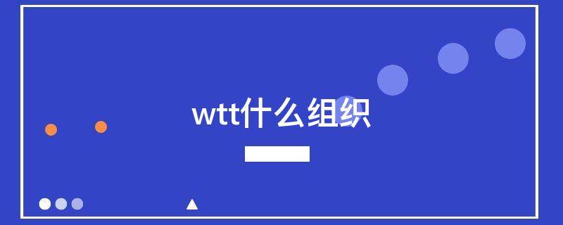 wtt什么组织