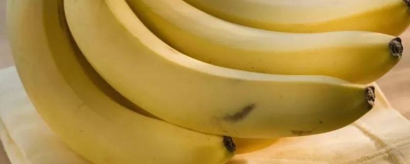 大量香蕉吃不完可以做什么