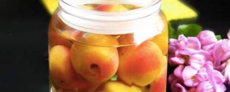 怎样自制发酵杏子酒