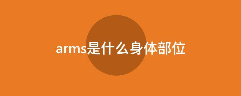arms是什么身体部位