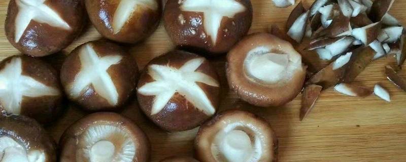 香菇十字花切法