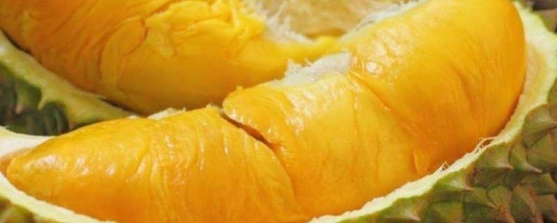 榴莲里面有红色虫子可以吃吗