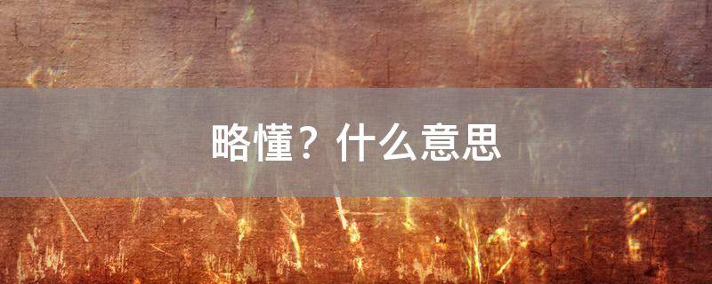 略懂？什么意思