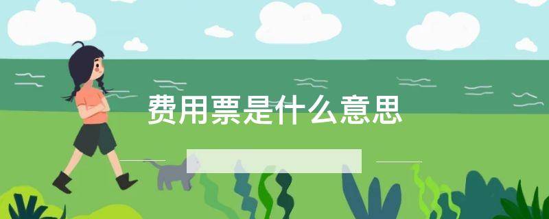费用票是什么意思