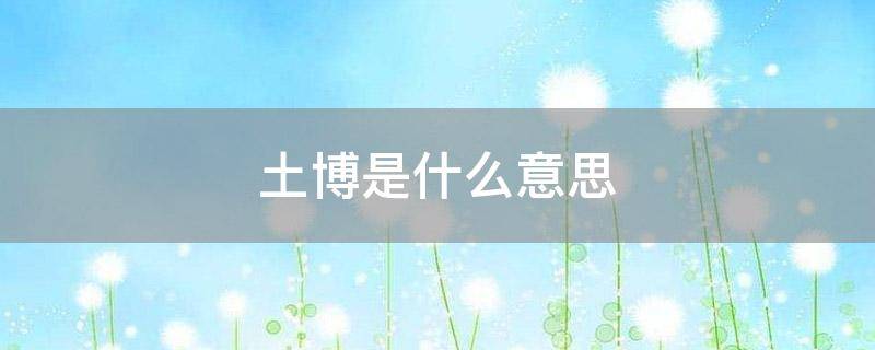 土博是什么意思