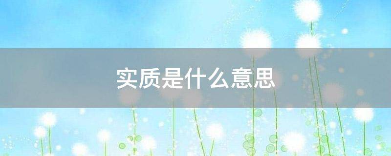 实质是什么意思