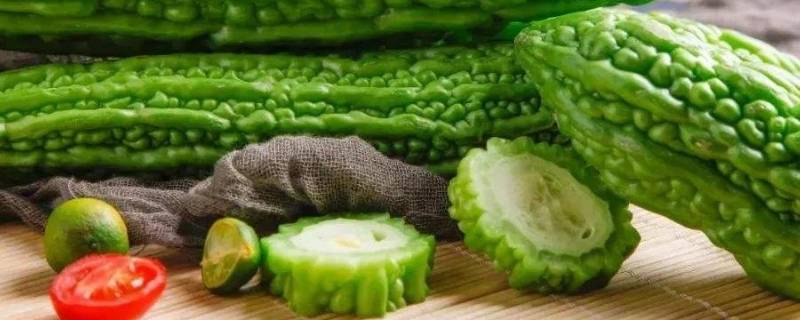苦瓜里面有蛆什么原因