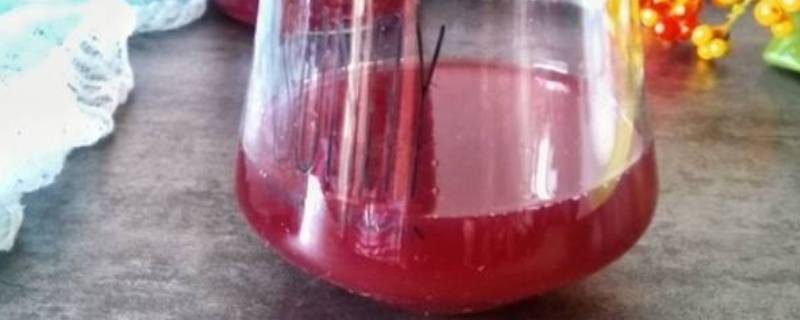 做葡萄酒可以用塑料桶吗?