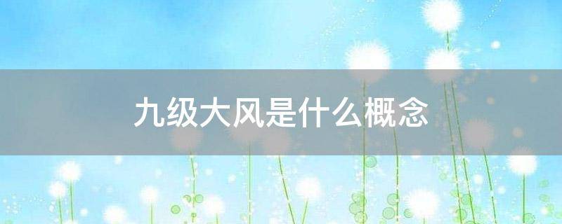 九级大风是什么概念