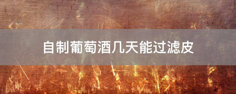 自制葡萄酒几天能过滤皮