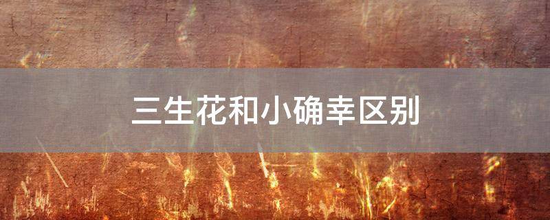 三生花和小确幸区别