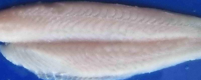 巴沙鱼是海鱼吗 生活百科