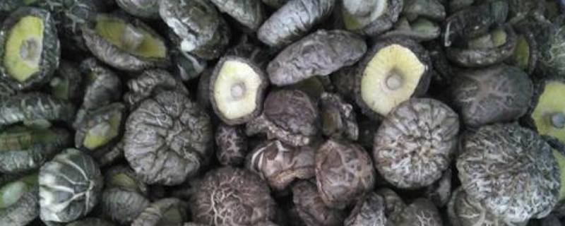 香菇放冰箱冷藏可以保存几天