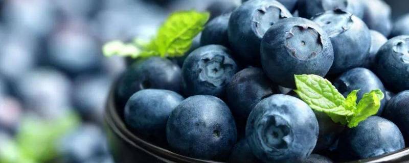 蓝莓哺乳期可以吃吗