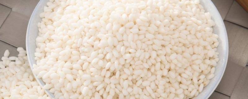 糯米蒸之前需要浸泡吗