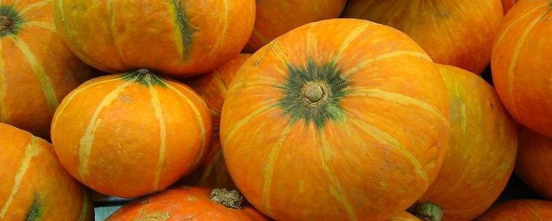 南瓜切面发霉还能吃吗