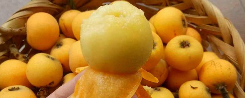 买了一箱枇杷怎么保存