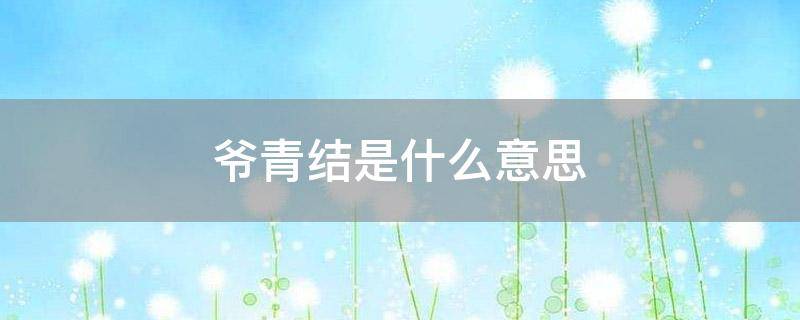 爷青结是什么意思